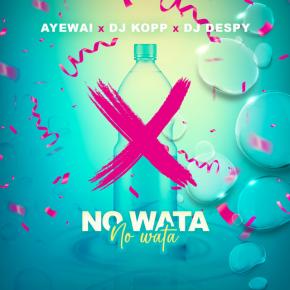 AYEWAI FT DJ KOPP ET DJ DESPY - NO WATA