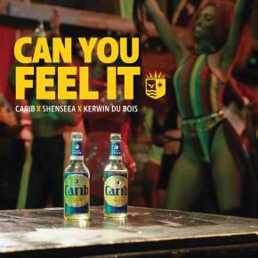 SHENSEEA FT KERWIN DUBOIS - CAN U FEEL IT