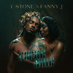 T-STONE FT FANNY J - COEUR NOIR