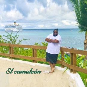 EL CAMALEON - DOZE