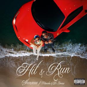 SHENSEEA FT MASICKA - HIT AND RUN