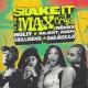 MOLIY FT SHENSEEA, SKILLIBENG ET SILENT ADDY - SHAKE IT TO THE MAX REMIX
